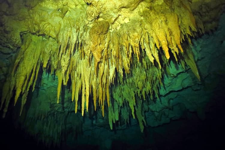 O cenote Choo-Ha