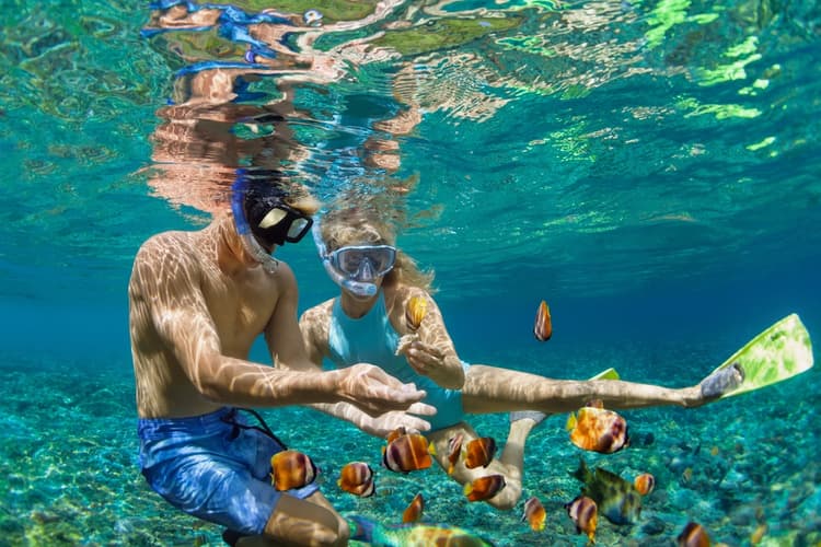 Pareja haciendo snorkel en Isla Mujeres
