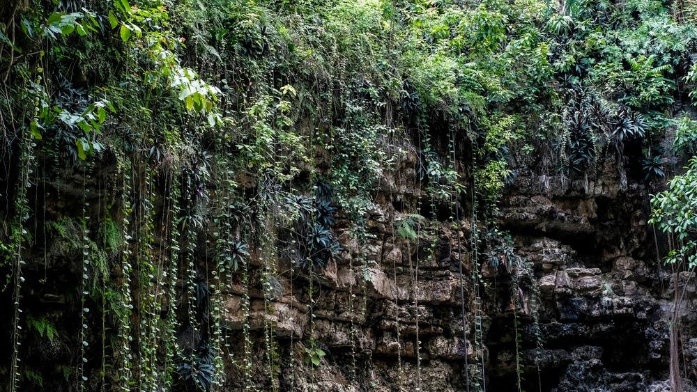 El cenote Xcajum
