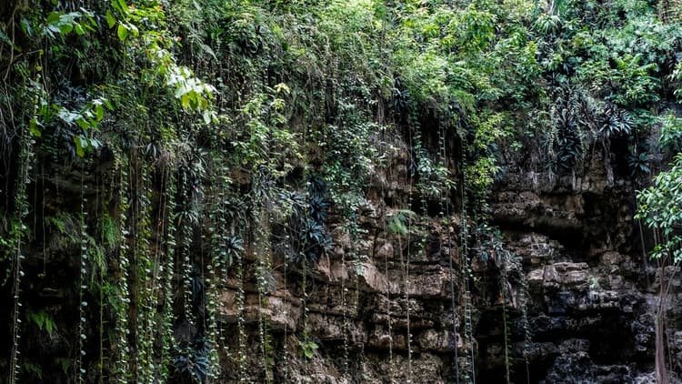 Interior cenote xcajum