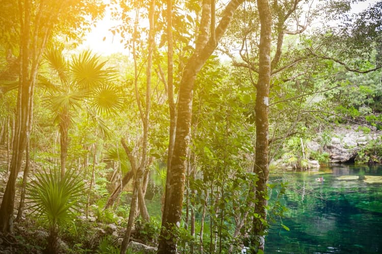 Puesta de sol en cenote cristalino