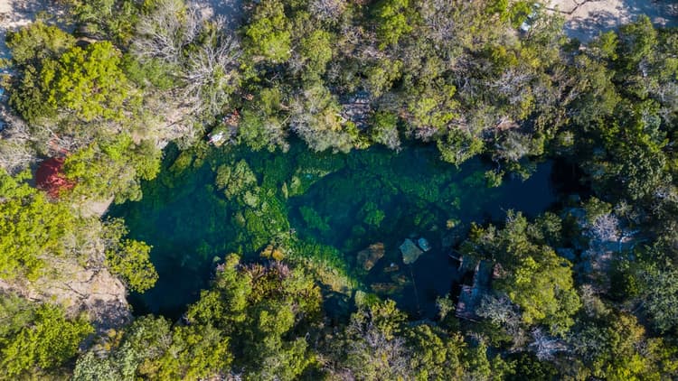 El cenote Jardín del Edén