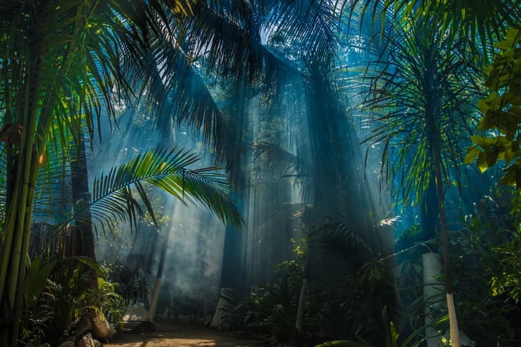 Destino del viaje a Tulum