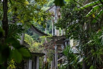 Xilitla y su Jardín surrealista