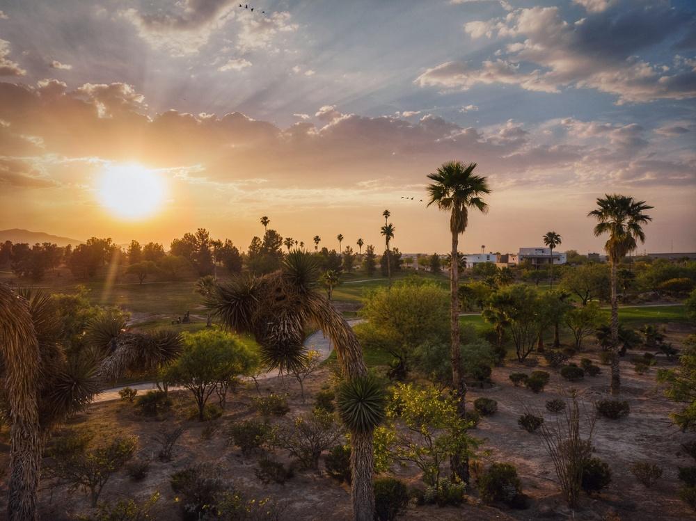 Visita a Torreón