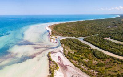 Discovering Punta Mosquito