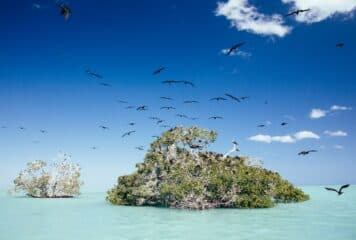 Punta Allen, o povoado escondido