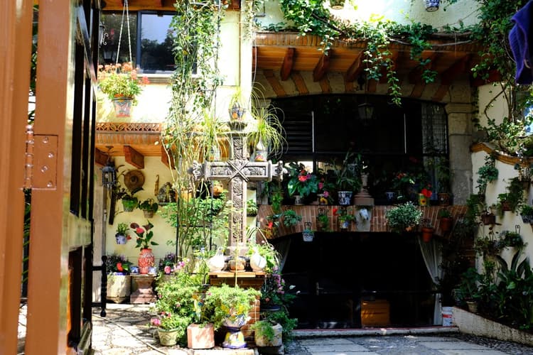 Coyoacán tienda de barrio