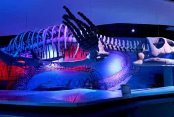 museos en puebla