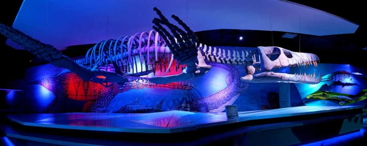 Descubra os museus de Puebla