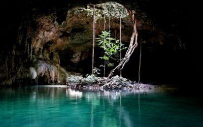 Descubre la Magia en la Ruta de los Cenotes