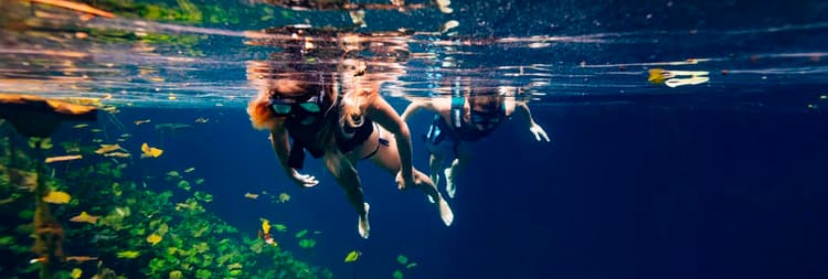 Xcaret Xenotes: um tour para os amantes da natureza